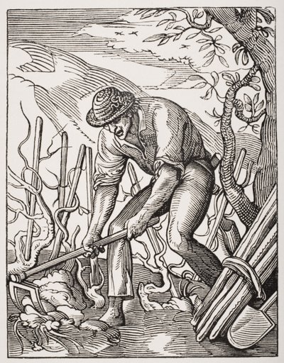 The Wine Grower, after an Engraving by Jost Amman from 